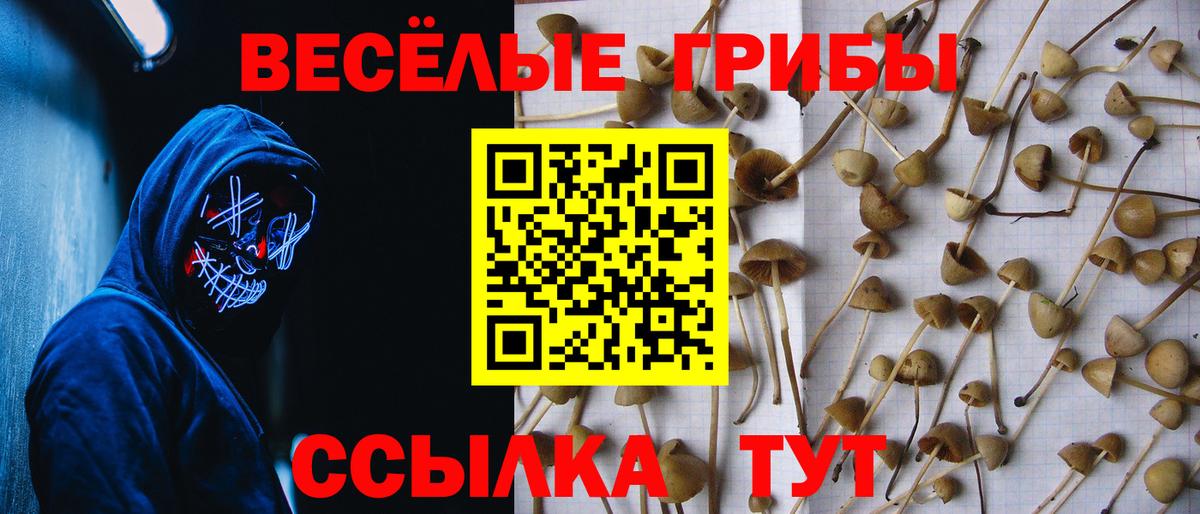 Карталы  где продают   Псилоцибиновые грибы Cubensis  Вход с VPN  Псилоцибиновые грибы ЛСД 