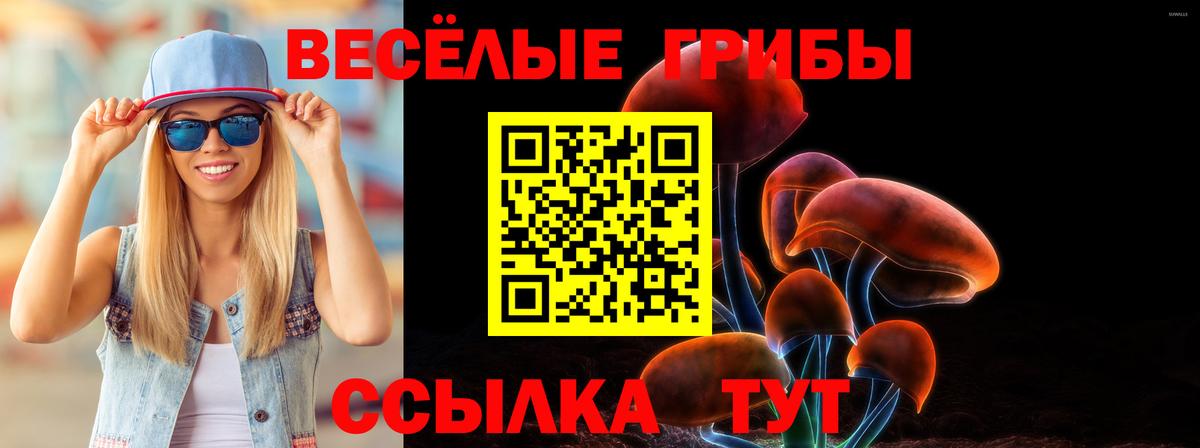 Псилоцибиновые грибы Magic Shrooms Карталы